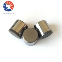 1313 1613 1606 1913 outils de coupe PDC fraises polissage pour PDC foret PCD/ TSP OEM
