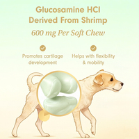 Comprimés de Glucosamine Hydrochloride pour le Soutien Articulaire des Chiens et des Chats (Bio, Toutes Races) – Favorise la Santé et la Mobilité Rapide des Articulations