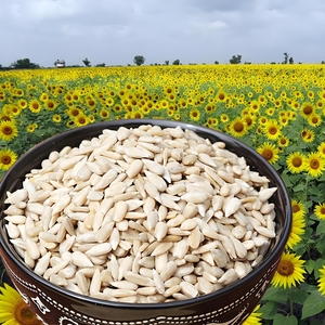 بذور عباد الشمس العضوية عالية الجودة منزوعة القشرة ذات اللون الطبيعي تستخدم كمكون غذائي في المخابز ومنتجات الأغذية الصحية. - Product Image 1