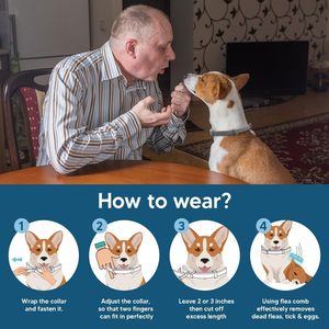 Vendedor caliente Control de plagas Collar de <span class=keywords><strong>pulgas</strong></span> y garrapatas <span class=keywords><strong>para</strong></span> mascotas 8 Prevención Collar de <span class=keywords><strong>pulgas</strong></span> y garrapatas de tamaño ajustable <span class=keywords><strong>para</strong></span> perros y gatos - Product Image 4
