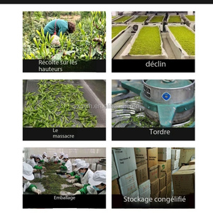 Té Verde Lu'an Gua Pian 2026, Ayuda a la Digestión, Promueve la Pérdida de Grasa y la Antioxidación, Venta al por Mayor de Fábrica con Entrega Exprés - Product Image 6