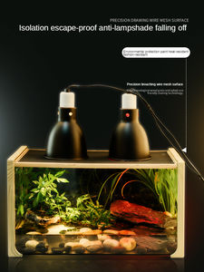 Barbare BG Croissance DJ 01-03 Bois grain boîte de verre pour gecko à cornes grenouille araignée amphibie, serpent <span class=keywords><strong>terrarium</strong></span>, boîte d'alimentation, verre cy - Product Image 3