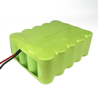 Batterie D8000 8Ah NiMh Large plage de températures-40 ~ + 85 ℃ Solutions d'urgence portables pour appareils médicaux et outils électriques