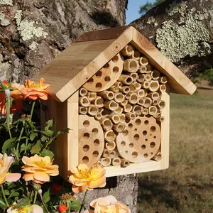 Arı otel ve arı kovanı
