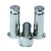 Rivets pleins en acier inoxydable à tête plate, en aluminium et laiton, personnalisés OEM ODM ISO9001 pour la fixation de quincaillerie