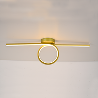 Plafonnier LED moderne OEM pour chambre et salon, éclairage décoratif intérieur en bande longue, base en fer, lumière du jour 6000K, 20000 heures, IRC80