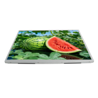 Módulo de Pantalla de Cristal Líquido con Transistor de Película Delgada, Interfaz LVDS G121XCE-L02, Resolución 1024x768, 12.1 Pulgadas, Panel Táctil
