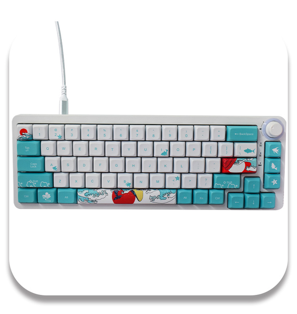 AFLION Customize Mini 61 Keys RGB Backlight USB Wired Gaming Mechanical Keyboard with Ergonomic Design