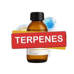 Terpenes Honeydew Boo Flavor <span class=keywords><strong>Oil</strong></span> de Euroterps Natural Gingerbread Wonderland Flavor <span class=keywords><strong>Oil</strong></span> - OEM para panadería y bebidas - Product Image 1
