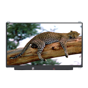 Pantalla LCD B133HAK02.0 de 13.3 Pulgadas, 60Hz, 1920*1080 TFT eDP, Precio Bajo - Product Image 1