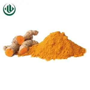 हल्दी निकालने Curcuma Longa निकालने पाउडर Curcumin 95%