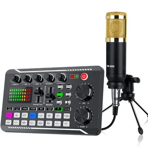 Hayne-seek-tarjeta de sonido para mezclador de streaming en vivo, con micrófono, tarjeta de sonido de Audio, adecuado para ordenador, teléfono y PC