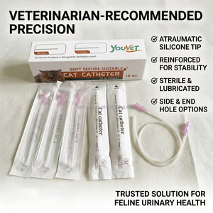 Cathéter vétérinaire <span class=keywords><strong>professionnel</strong></span> <span class=keywords><strong>pour</strong></span> chat, tube souple stérile jetable, équipement <span class=keywords><strong>médical</strong></span> le plus vendu <span class=keywords><strong>pour</strong></span> la chirurgie des animaux de compagnie - Product Image 3