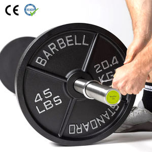 VIGFIT Disques de musculation en fonte pour salle de sport, plaques de poids peintes, disques de bumper, pesas de gimnasio, disques personnalisés – Vente en gros - Product Image 4
