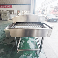 Automatische Parallelle Borstelrolwasser Schilmachine voor Gember, Aardappel, Wortel en Andere Wortelgewassen - Ideale Voedselverwerkingslijnapparatuur