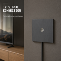 Prise murale numérique pour antenne TV coaxiale simple, gris brossé, de haute qualité, fournie par l'usine OEM