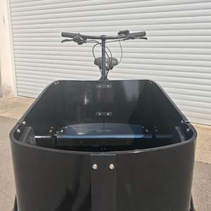 Vélo cargo électrique pour adultes et famille pour transporter des marchandises pour enfants et animaux de compagnie pour faire du shopping, pique-nique, pêche, voyage et autres activités de plein air - Product Image 4