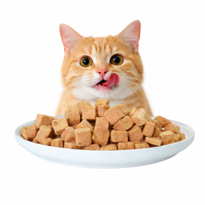 Nourriture pour animaux <span class=keywords><strong>de</strong></span> compagnie lyophilisée en gros, <span class=keywords><strong>canard</strong></span> avec poire, friandises lyophilisées pour animaux <span class=keywords><strong>de</strong></span> compagnie, haute teneur en protéines, collation naturelle et saine pour chats et chiens - Product Image 1