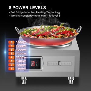 Cuisinière à <span class=keywords><strong>induction</strong></span> commerciale 6000W 380V, <span class=keywords><strong>plaque</strong></span> <span class=keywords><strong>de</strong></span> cuisson électrique haute puissance en acier inoxydable <span class=keywords><strong>pour</strong></span> wok, idéale <span class=keywords><strong>pour</strong></span> restaurants et hôtels - Product Image 2