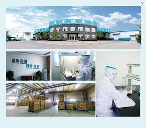 עוף מיובש אורגני עוטף ביסקוויטים עטופים ביסקוויטים כלבים חלבון גולמי גבוה - Product Image 5