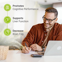 Capsules végétaliennes de choline 500 mg à marque privée OEM pour le soutien cognitif, la santé du foie et le bien-être maternel