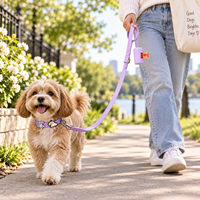 Collier pour animaux de compagnie (chats et chiens) personnalisé par le fabricant, nouvelle mode, design haut de gamme, logo personnalisé, luxe, réglable, PVC imperméable, breloques