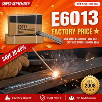 Électrode de soudage E6013 2.5mm 3.2mm 5kg 20kg pour acier doux, Fournisseurs de soudage en Chine