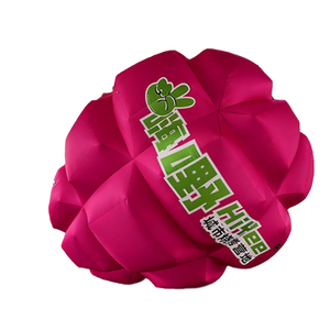 Ballon gonflable publicitaire personnalisé en forme de dragon fruit pour décoration et événements, vente <span class=keywords><strong>aux</strong></span> enchères d'usine, fête en plein air, <span class=keywords><strong>camping</strong></span> - Product Image 1