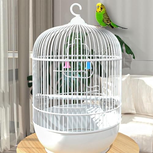 african grey bird cage
