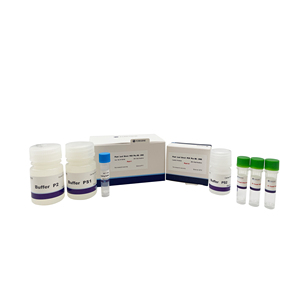 Bộ Dụng Cụ PCR Trực Tiếp Lá Cây Để Sử Dụng Trong Phòng Thí Nghiệm Không Cần Chiết Xuất Và Lọc <span class=keywords><strong>DNA</strong></span> - Product Image 3