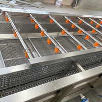 Groente- en fruit sorteer-, was-, droog- en verwerkingslijn, grote capaciteit spinazie- en romaine sla-wasmachine