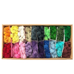 <span class=keywords><strong>250</strong></span> G di Muschio Naturale Preservato, Lichene di Renna per Decorazione Murale, Parete Verde, Ufficio, Aeroporto, Interni - Product Image 3