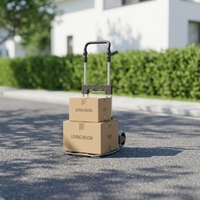Chariot de manutention pliable professionnel en aluminium robuste, capacité de stockage 200 kg, conception intelligente, OEM, portable pour le shopping