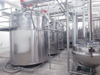Pâte de tomate Offre Spéciale à petite échelle faisant l'usine de traitement de machine