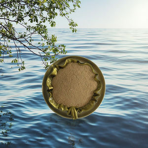 魚の死亡率を低下させ、水質を改善する | 1kg Bacillus Subtilis養殖プロバイオティクス | 抗Vibrio & 消化補助 - Product Image 2