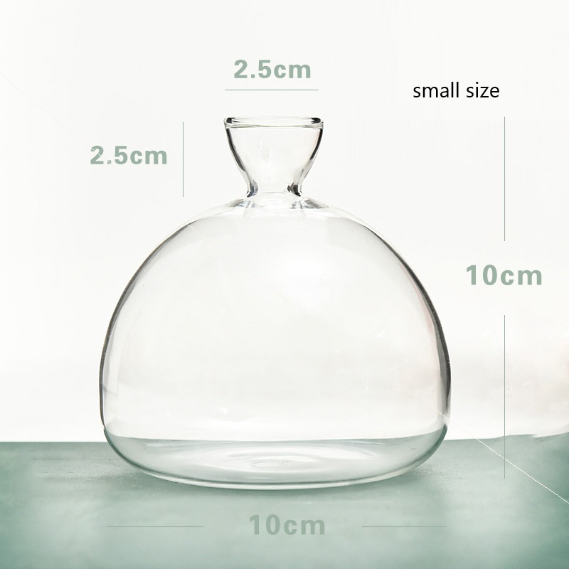 Small avocado vase (without seeds)