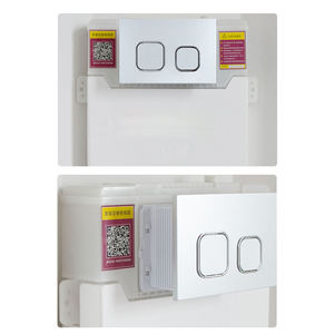 زر دفق مرحاض مخفي Ts-Mf-Bp04 من الفولاذ المقاوم للصدأ المطلي بالكروم، صديق للبيئة بتصميم عصري، لون رمادي بندقي 3873 - Product Image 4