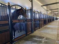 Vente flash : Écurie préfabriquée en acier galvanisé de Nouvelle-Zélande avec porte battante pour propriétaires de chevaux