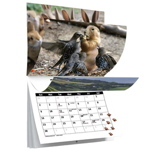 Wholesale 2026 A4 Wall and Desk Calendars Custom Printed High Quality 365 Days Paper Planner Novelty Gift for Promotions