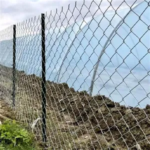 Fascia di tensione per rete a catena di recinzione a maglie di catena 6ft alto PVC in acciaio zincato rete metallica recinzione a catena per azienda agricola