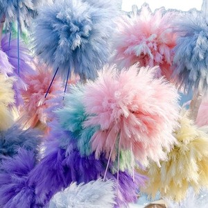Árbol de fuegos artificiales viral en internet, flores preservadas, cañas secas, bola decorativa para interiores, decoración de bodas, ambiente de Año Nuevo, <span class=keywords><strong>Celosia</strong></span> - Product Image 5