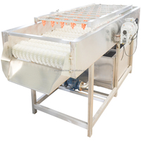 Industriële machine voor het reinigen van wortelgroenten en fruit met motor, 304 roestvrij staal, automatische rolwasmachine met hoge capaciteit