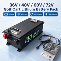 Batteries de chariot de golf électrique 51,2 V 100 Ah, vente en gros d'usine, packs de batteries au lithium 36 V 48 V 60 V 72 V 50 Ah 150 Ah 200 Ah pour chariot de golf