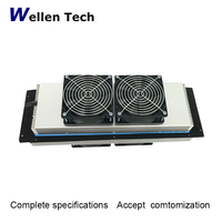 Système de refroidissement thermoélectrique WFF-300W haute efficacité 24V refroidissement par chauffage Peltier pour semi-conducteurs d'air en plaquette de silicium