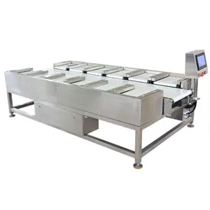 Factory Price Salmon Beef Seafood Fish Fruit Vegetable Snacks Combination 12 Head Scale Automatic Belt Scale Combination Scale
