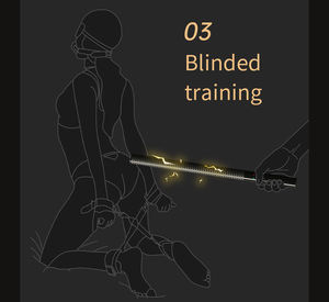 American Sex Toys Sm elettrico frusta strumenti <span class=keywords><strong>Bdsm</strong></span> frusta pinze Spanking Paddle <span class=keywords><strong>Bdsm</strong></span> - Product Image 5