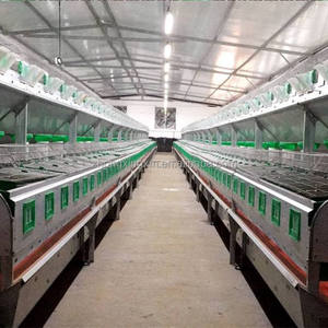 <span class=keywords><strong>Jaulas</strong></span> <span class=keywords><strong>de</strong></span> conejo automáticas <span class=keywords><strong>de</strong></span> nuevo diseño comercial con caja nido, <span class=keywords><strong>jaulas</strong></span> <span class=keywords><strong>de</strong></span> conejo <span class=keywords><strong>para</strong></span> cría <span class=keywords><strong>de</strong></span> conejos <span class=keywords><strong>para</strong></span> madres, cría <span class=keywords><strong>de</strong></span> conejos - Product Image 5