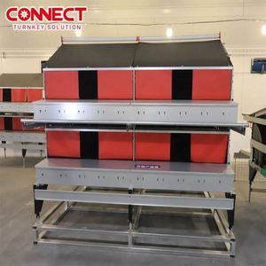 Công Suất Lớn Tự Động Gia Cầm Gà Trang Trại Xây Dựng Sàn Nâng Nông Nghiệp Thiết Bị Nhà Máy Hệ Thống Dòng Quản Lý Dự Án - Product Image 2