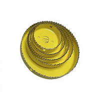 Kit de 5 scies cloches professionnelles pour le bois, avec forets à pointe carbure M42 bimétal, tige triangulaire de 0,38 pouce
