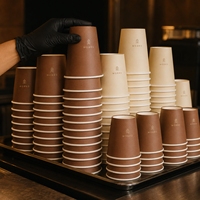 Gobelets en papier à double paroi biodégradables et écologiques avec logo personnalisé, couvercles et dorure à chaud en relief pour café chaud, thé, café, boulangerie, à emporter